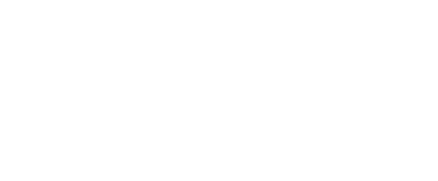 light logo
